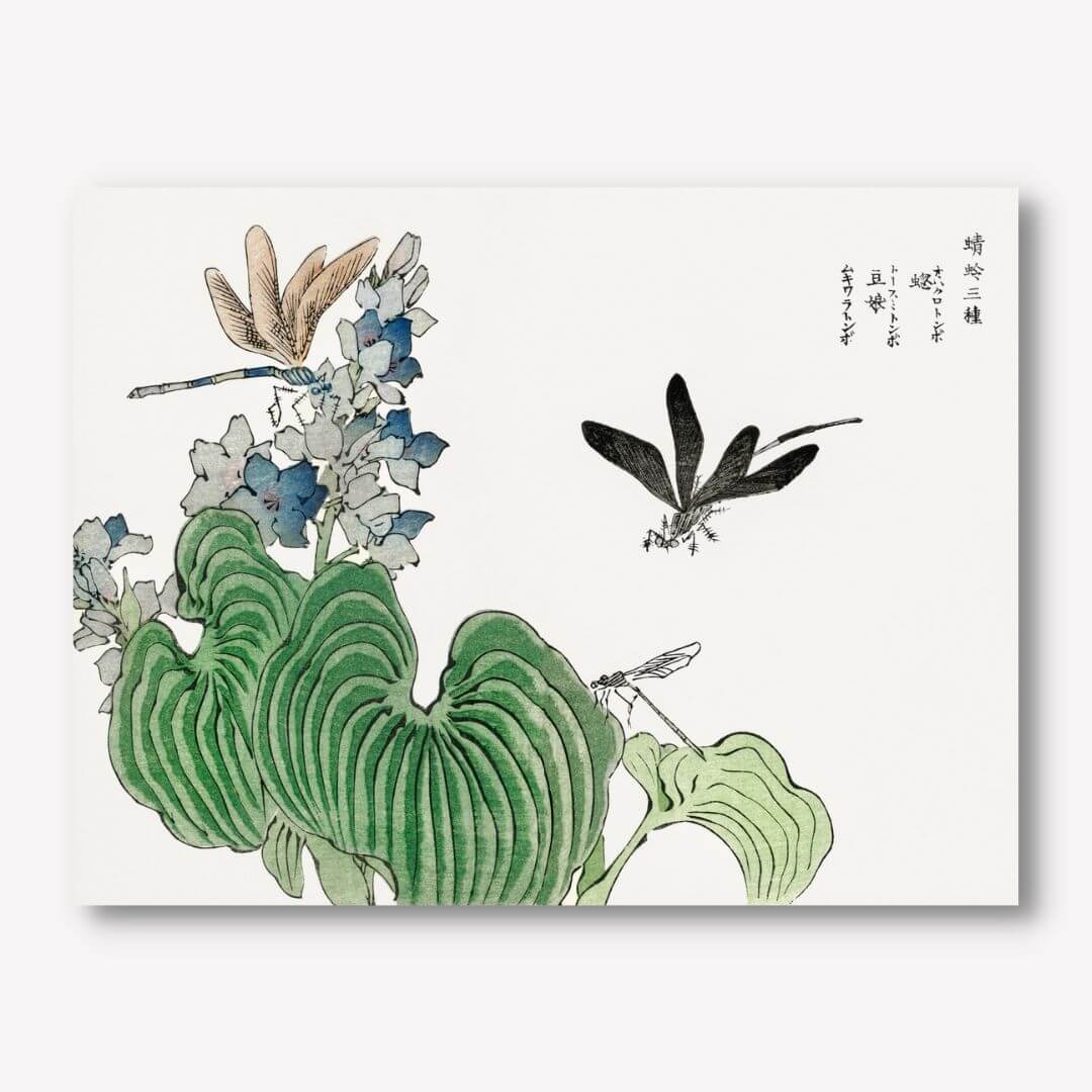 Morimoto Toko - Dragonfly on Flower