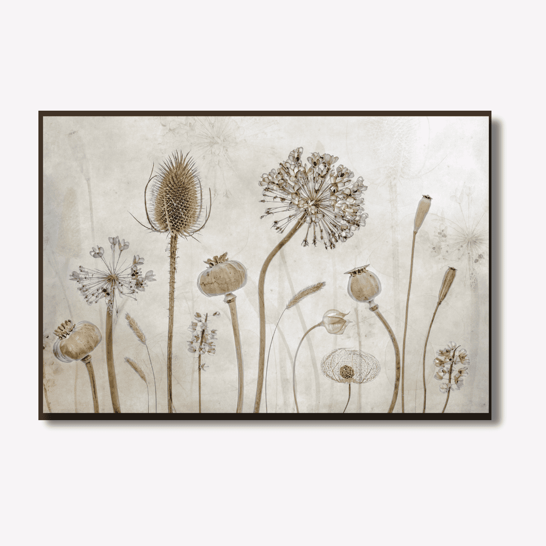 Wild dandelions art by Mandy Disher | Framed | WallArt.Biz