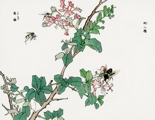 Morimoto Toko - Bee on Flower