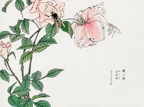 Morimoto Toko - Bee on Plant