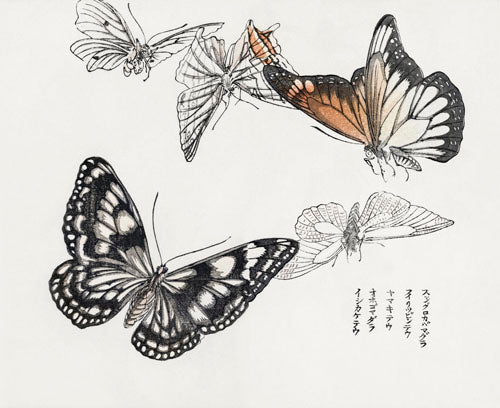 Morimoto Toko - Five Butterflies