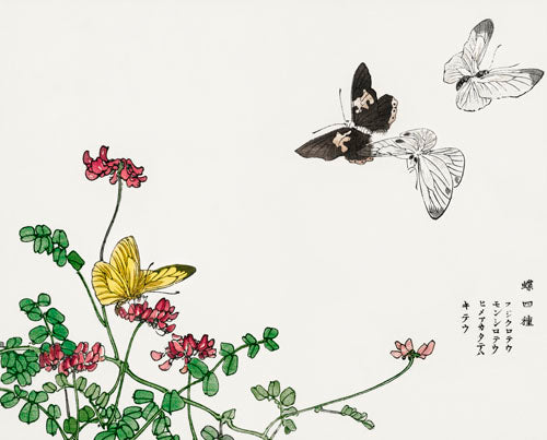 Morimoto Toko - Butterfly Yellow Set