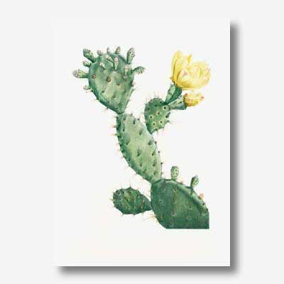 Cactus art with yellow flower | Free USA Shipping | Wallart.biz