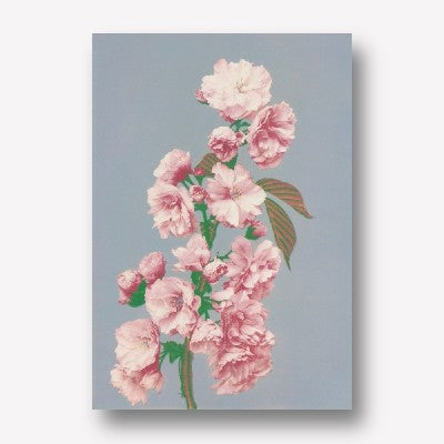 Ogawa Kazumasa - Cherry Blossom  | Free USA Shipping| www.wallart.biz