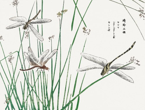 Morimoto Toko - Dragonfly and Moth Set