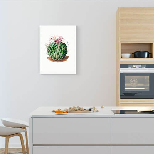 Cactus canvas print - Echinocactus Pentacanthus | Free USA Shipping | Wallart.biz