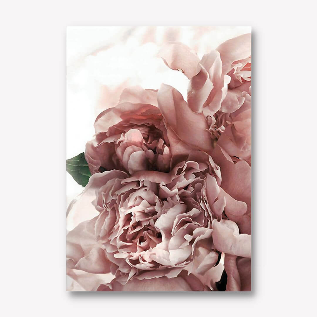 Floral Print Wall Art | FREE UK & USA SHIPPING - WallArt.Biz