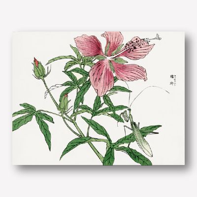 Morimoto Toko Pink flower wall art | FREE USA SHIPPING | WallArt.Biz