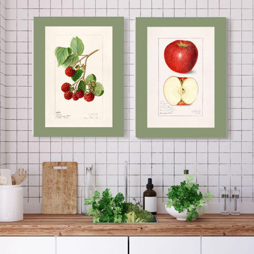 Vintage Watercolor Apple Fruit Art