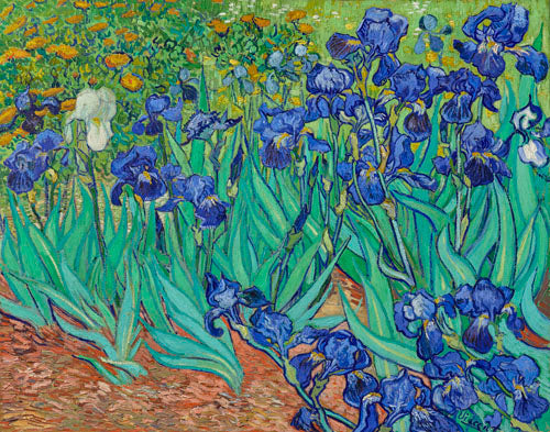 Van Gogh - Irises | Free USA Shipping | Wallart.biz