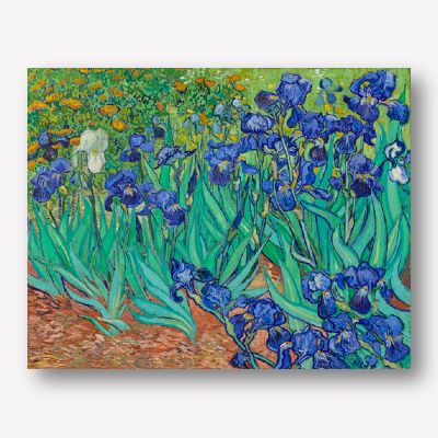 Van Gogh - Irises | Free USA Shipping | Wallart.biz