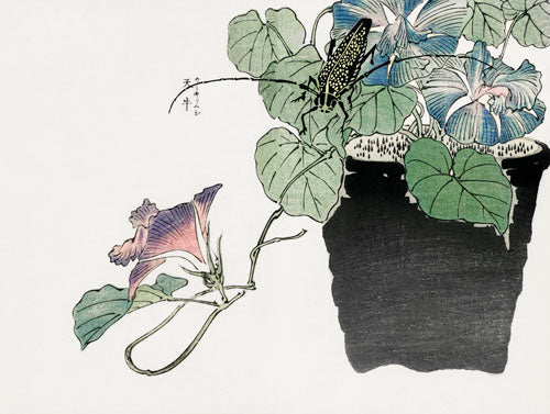 Morimoto Toko - Locust on Plant