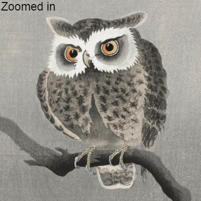 Ohara Koson, Long-eared owl on tree Artwork