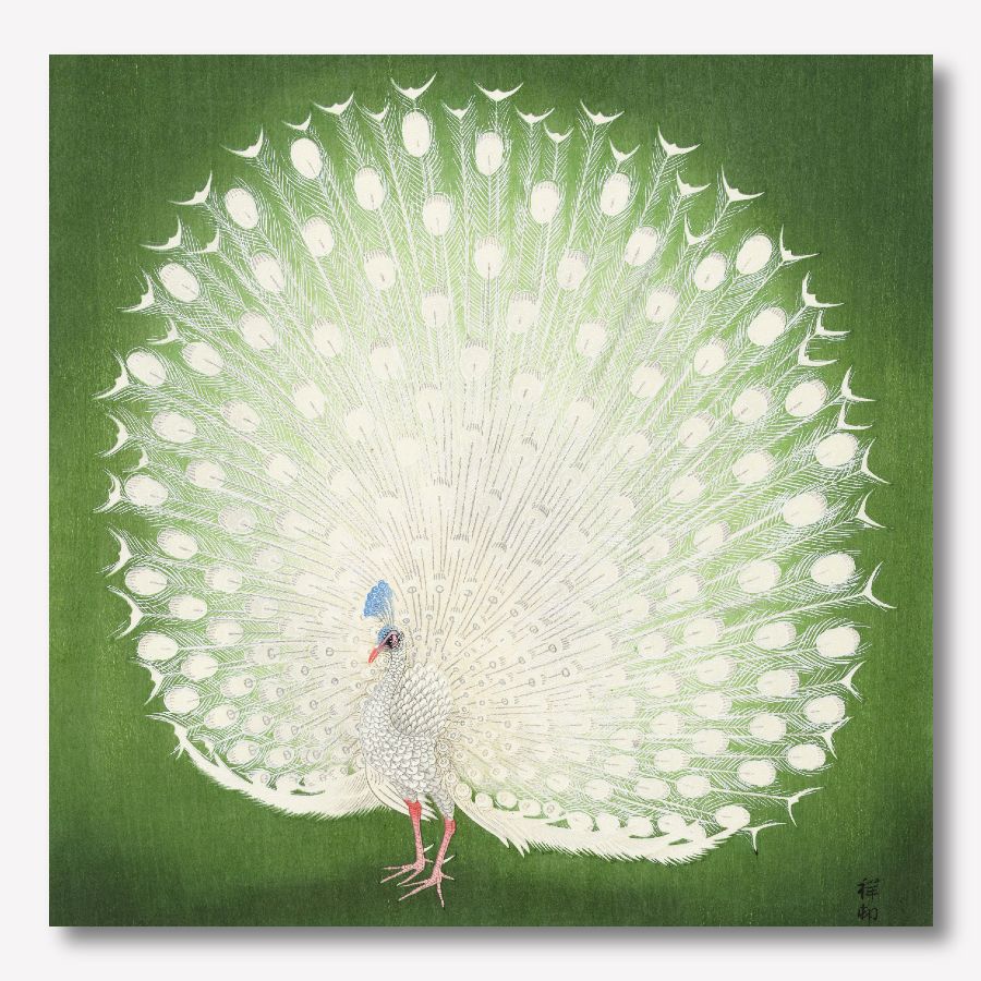 Ohara Koson peacock reproduction art - free usa shipping - www.wallart.biz