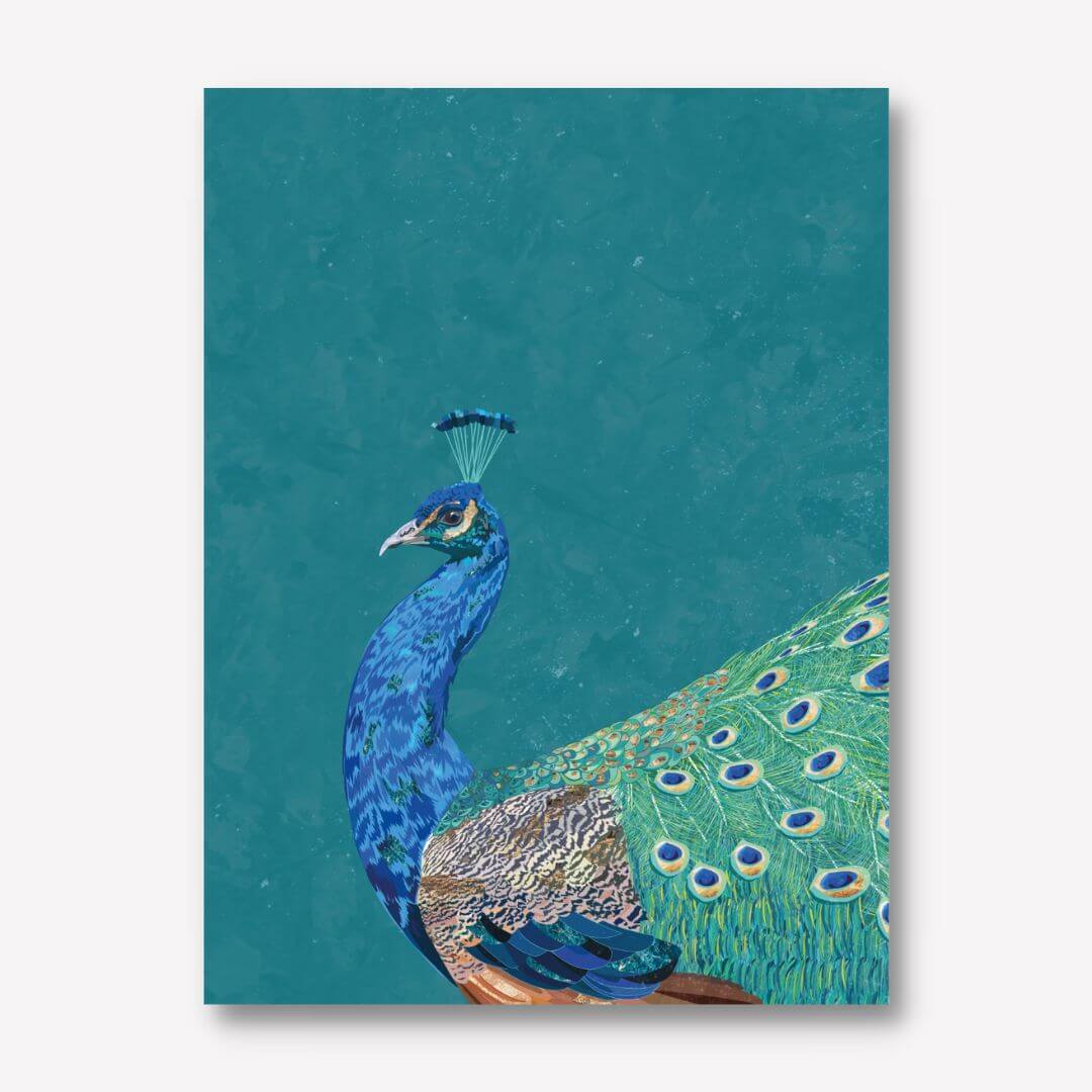    Turquoise peacock canvas print wall art by Sarah Manovski - FREE UK &amp; USA SHIPPING - WallArt.Biz