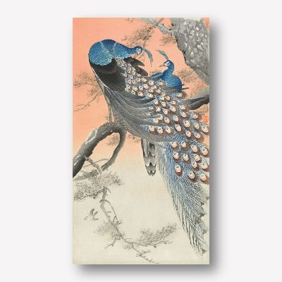 Ohara Koson - Two Peacocks, Blue
