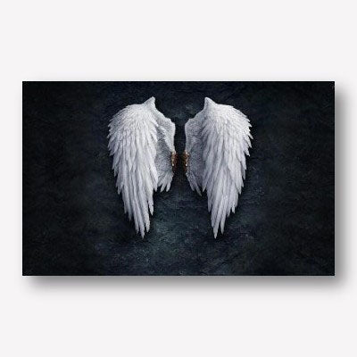 Large Angel wings wall décor - free USA shipping