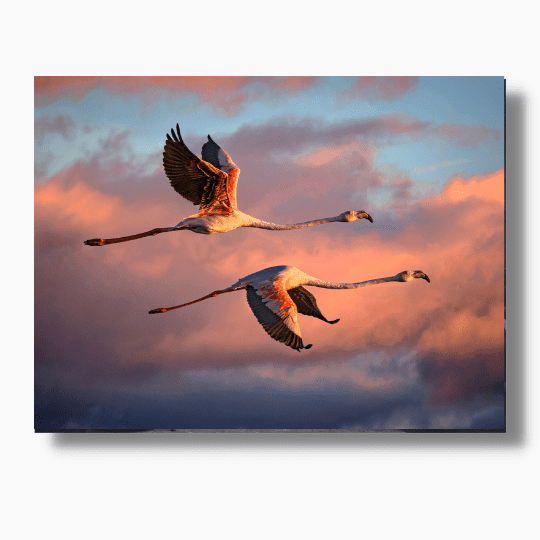 Flamingos Flying at Sunset Artwork | FREE USA &amp; UK SHIPPING | WallArt.Biz