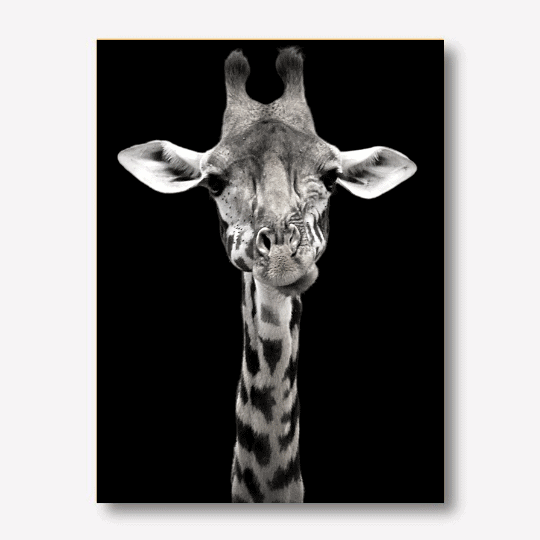 Giraffe Photo WALL ART- Free USA Shipping - wallart.biz