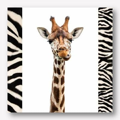 giraffe canvas print - free usa shipping - www.wallart.biz