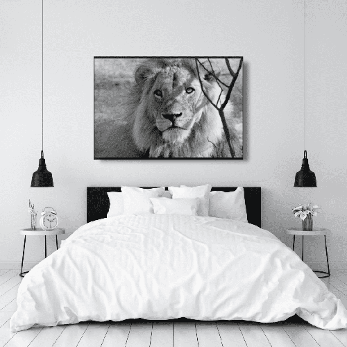 lion photography decor | Free USA Shipping | Digital Download | WallArt.Biz