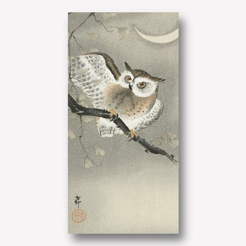 Ohara Koson - Long-Eared Owl Canvas Artwork
