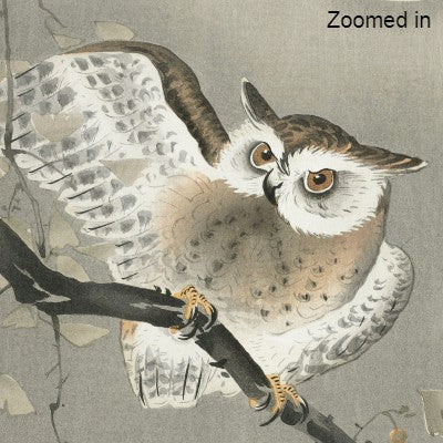 Ohara Koson -Long-eared owl in ginkgo  | Free USA Shipping| www.wallart.biz