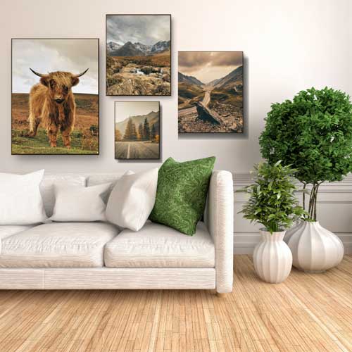 Highland Cow Gallery Wall