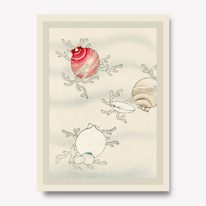 Seashells Wall Art by Watanabe Seitei | FREE USA SHIPPING | WallArt.Biz