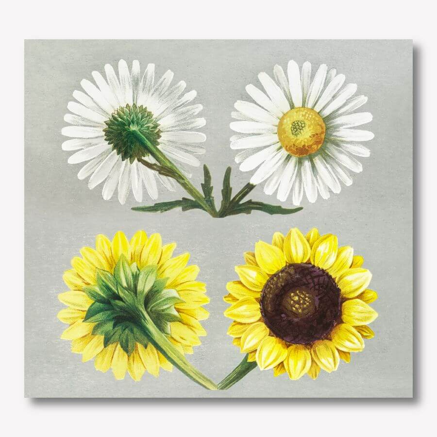 Sunflower & Daisy Canvas Print | FREE USA SHIPPING | www.WallArt.Biz