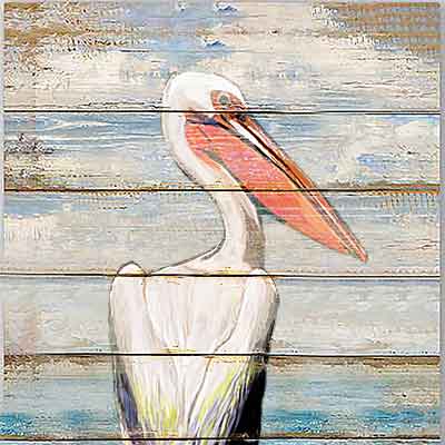 pelican wall art  print - free usa shipping - www.wallart.biz