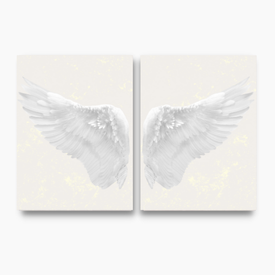 angel-wings-wall-art-set - framed and free usa shipping - wallart.biz